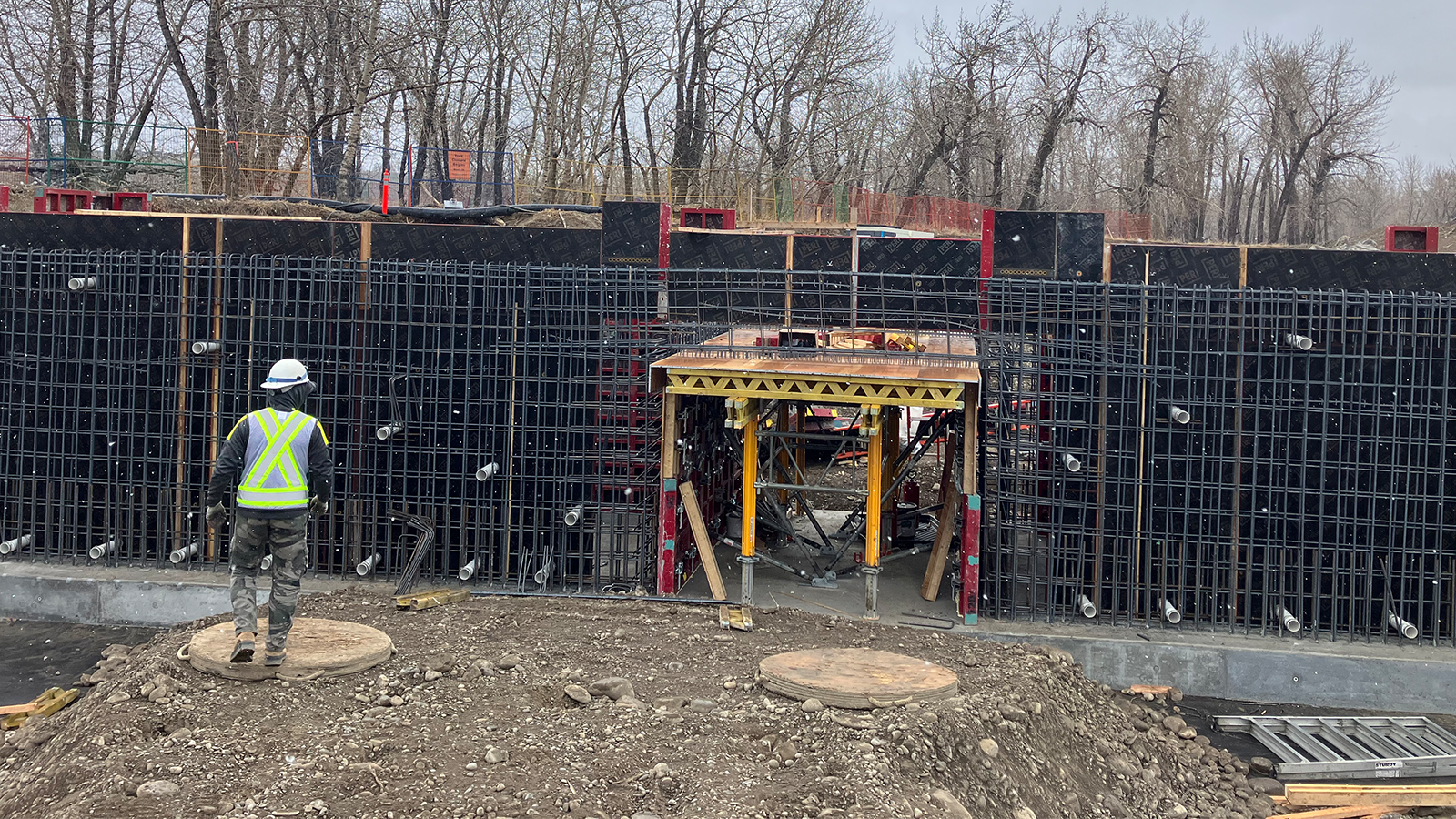 Inglewood Bird Sanctuary